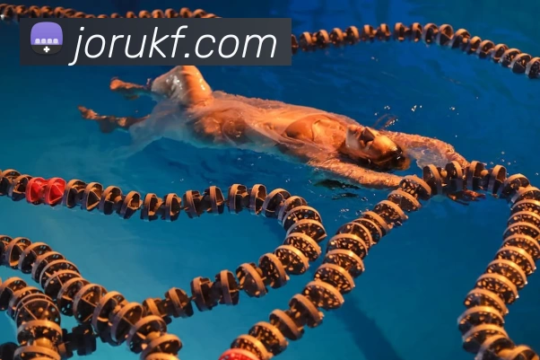 APP界面展示